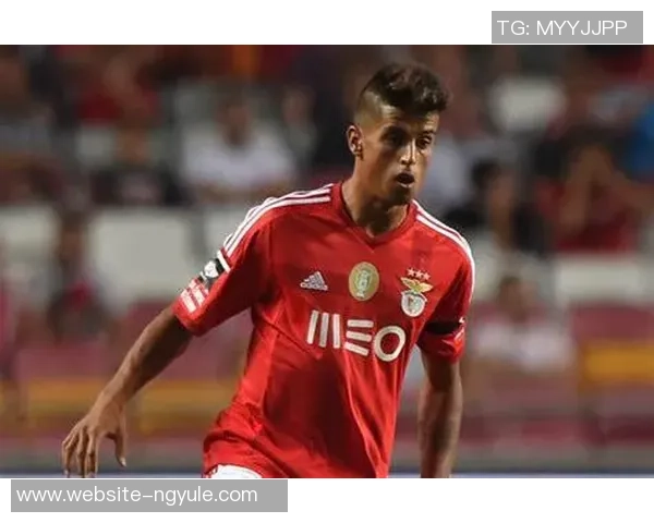 坎塞洛的足球之路：从青训崭露头角到欧洲顶级联赛的闪耀之旅